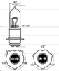 Halogen žárovka 6V/25/25W